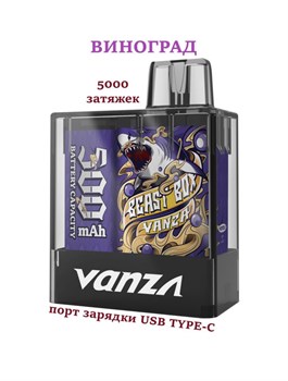 Vanza Beast Box - 5000 затяжек 2922